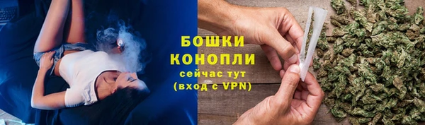 шишки Корсаков
