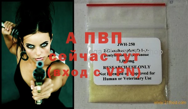 шишки Корсаков