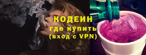 шишки Корсаков