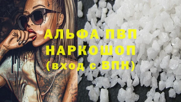 шишки Корсаков