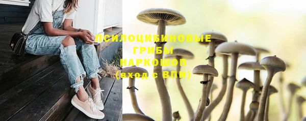 первитин Краснотурьинск