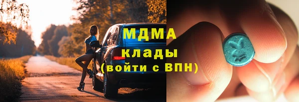 шишки Корсаков