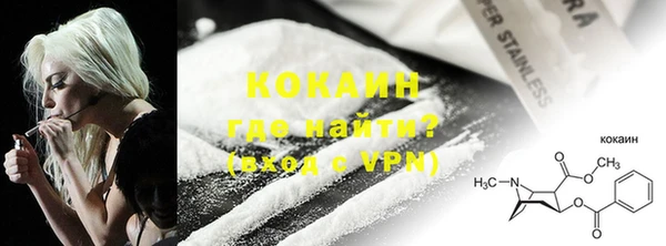 шишки Корсаков