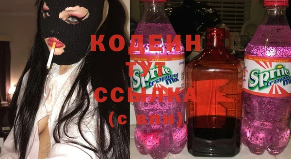 шишки Корсаков
