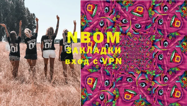 шишки Корсаков