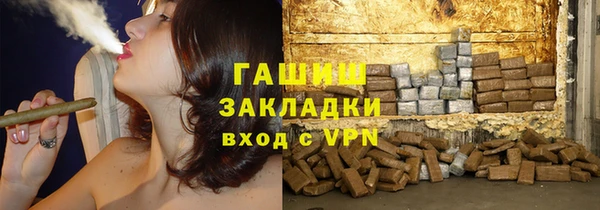 шишки Корсаков
