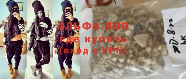 шишки Корсаков