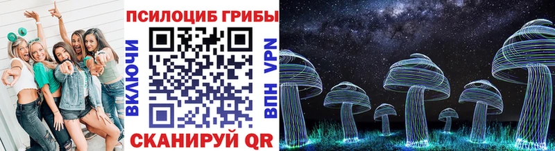 Купить  Вологда  Галлюциногенные грибы GOLDEN TEACHER 