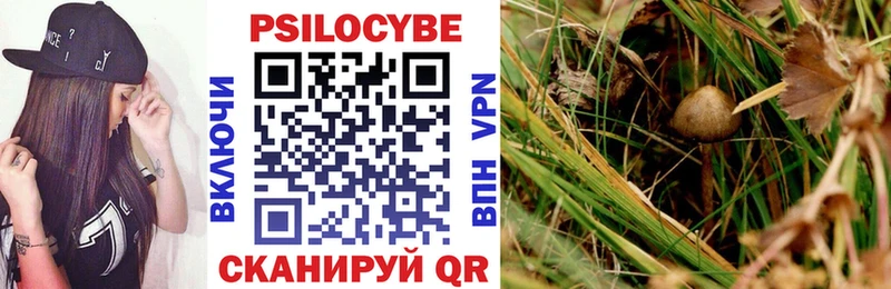 Галлюциногенные грибы Psilocybe Вологда